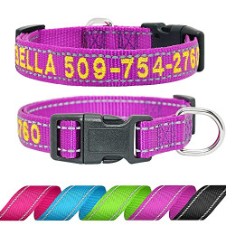 Personalized Embroidered Dog Collar