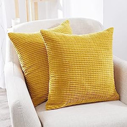 Pack of 2, Throw Pillow Cover for Sofa, 16x16 Inch