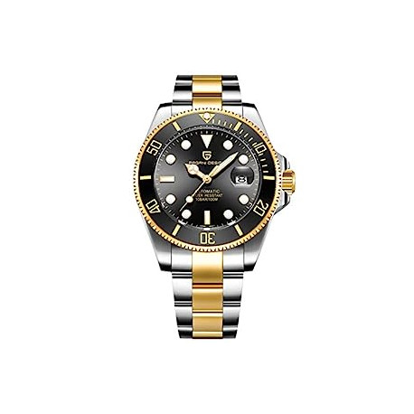 Pagani Design Men’s Automatic Mechanical Wrist Watches