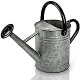 Metal Watering Can 1 Gallon