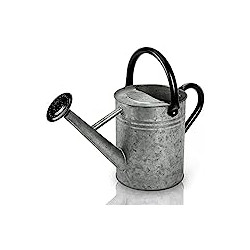 Metal Watering Can 1 Gallon