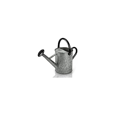 Metal Watering Can 1 Gallon