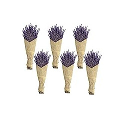 6 Pack Natural Dried Flowers Bouquet