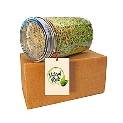 Pack 2 of Sprouting Jar with Screen Lid-316 Stainless Steel 100% Rust Free