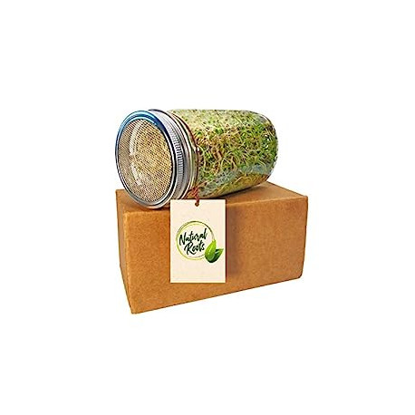 Pack 2 of Sprouting Jar with Screen Lid-316 Stainless Steel 100% Rust Free