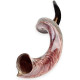 Shofarot Israel Kosher Yemenite Kudo kudu Shofar Size 34"-35"