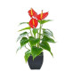 Artificial Flower Calla Lily Faux Small Potted Plant