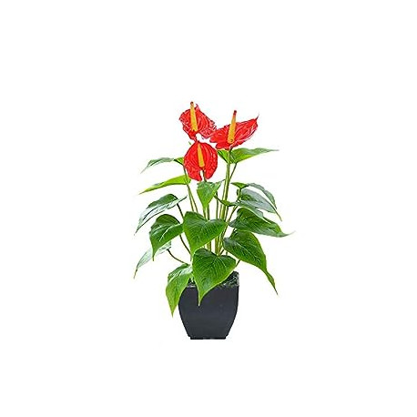 Artificial Flower Calla Lily Faux Small Potted Plant
