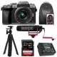Panasonic Camera w/ 14-42mm Lens (Silver) & Camera Mic & Accesory Bundle