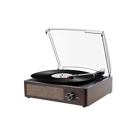 Vinyl Record Player Turntable