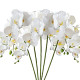 5 Pcs Artificial Phalaenopsis Flowers Artificial