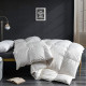 Feather Down Comforter Duvet King Size