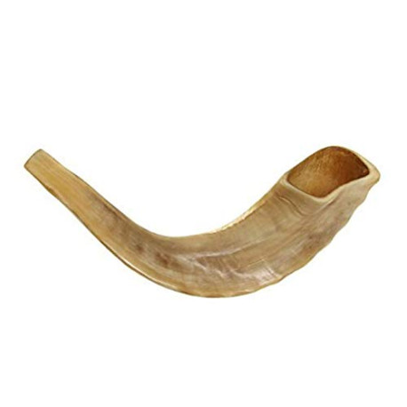 KOSHER ODORLESS POLISHED SHOFAR
