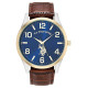 US Polo Ass. Watch, Gold