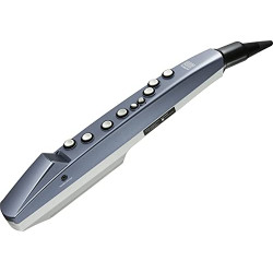 Roland AE-01 Aerophone Mini Digital