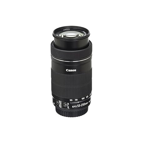 Canon EF-S 55-250mm F4-5.6 is STM
