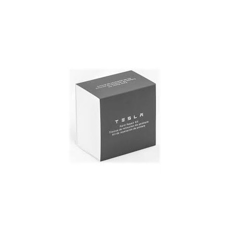 Tesla Paint Repair Kit