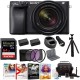 Sony Mirrorless Digital Camera Bundles (w/ 18-135mm)