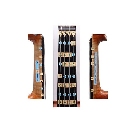 Fantastic Finger Guide for Violins Kids