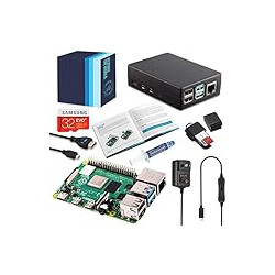 Raspberry Pi 4 4GB RAM