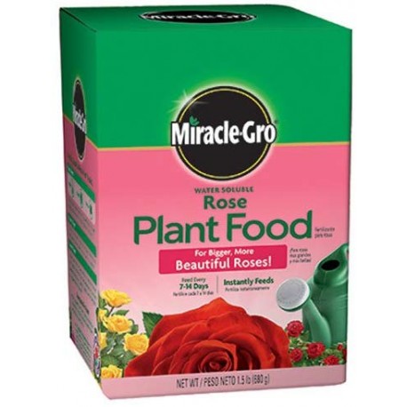 Miracle-Gro Rose Plant