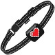 Small Dog Bark Collar Rechargeable