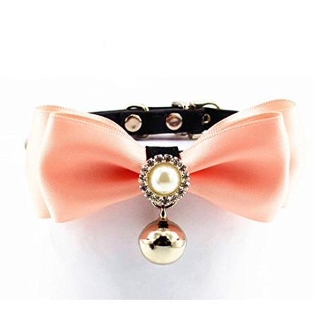 Cats pet Collar