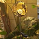 Garden Solar Lights Fairy Moon