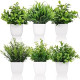 6 Pot Small Fake Plant Flowerpot Artificial Plastic