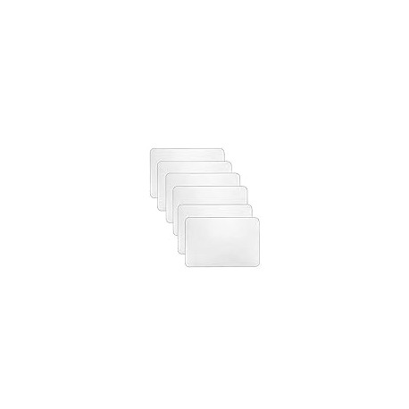 6 Pcs Plastic Placemats