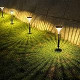 Solar Pathway Lights Outdoor 6Pack