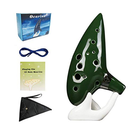 12 Holes Alto C Tone With Bag Strap Instruction (Green)