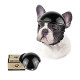 Pet Helmet Dog Hard Hat