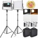 LED Video Light with 2M Stand Bi-Color 3960