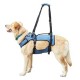 Dog Lift Harness, Support & Recovery Sling