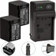 Batteries and Charger Kit for Sony FDR-AX53