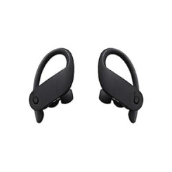 Beats Powerbeats Pro Wireless Earbuds