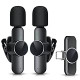 2 Pack Mini Wireless Microphone Type C