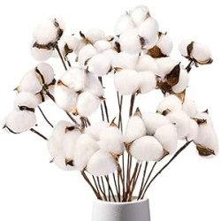 Cotton Stems, Natural Dried Cotton 8 Packs Total 15 Bolls