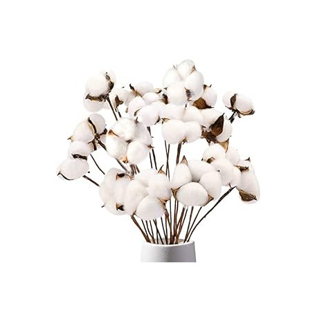 Cotton Stems, Natural Dried Cotton 8 Packs Total 15 Bolls