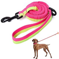 Soft Comfort Texture | 3-5 Feet | for Dogs/Cats Under 20 lb (Lime/Pink)
