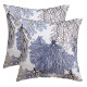 Pack of 2 Throw Pillow Covers Cases Modern