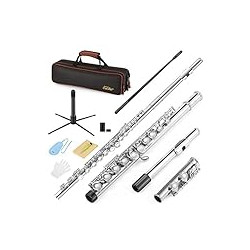 C Flutes Closed Hole 16 Keys Flute for Beginner Kids Student
