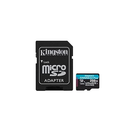 Kingston 256GB Canvas Go Plus microSDXC Card