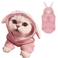 Dog Hoodies Sweatshirt