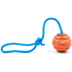 Durable Dog Training Ball on Rope