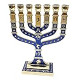 Menorah 7 Branch 12 Tribes