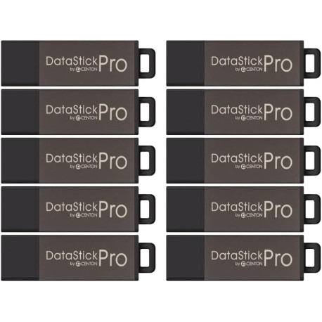 DataStick Pro USB 2.0 Flash Drive, 2 GB, 25 USB Flash Drives