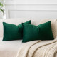 Christmas Dark Green Velvet Throw Pillow Covers 16x24 inch
