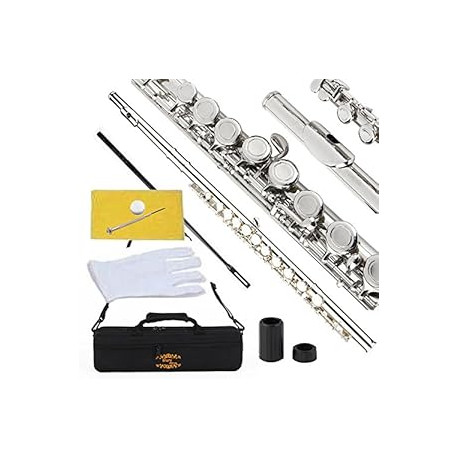 Closed Hole C Flute With Case, Tuning Rod and Cloth, Gloves, Nickel Siver